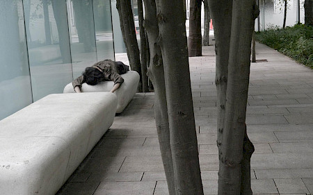 Sensing Bodies