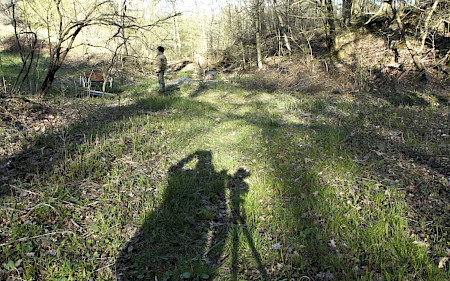 While the Green Grass Grows: A Diary in Seven Parts