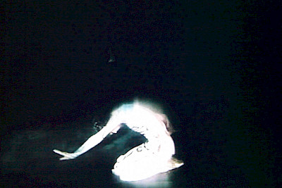 Film Screening: «Night for Day» by Emily Wardill