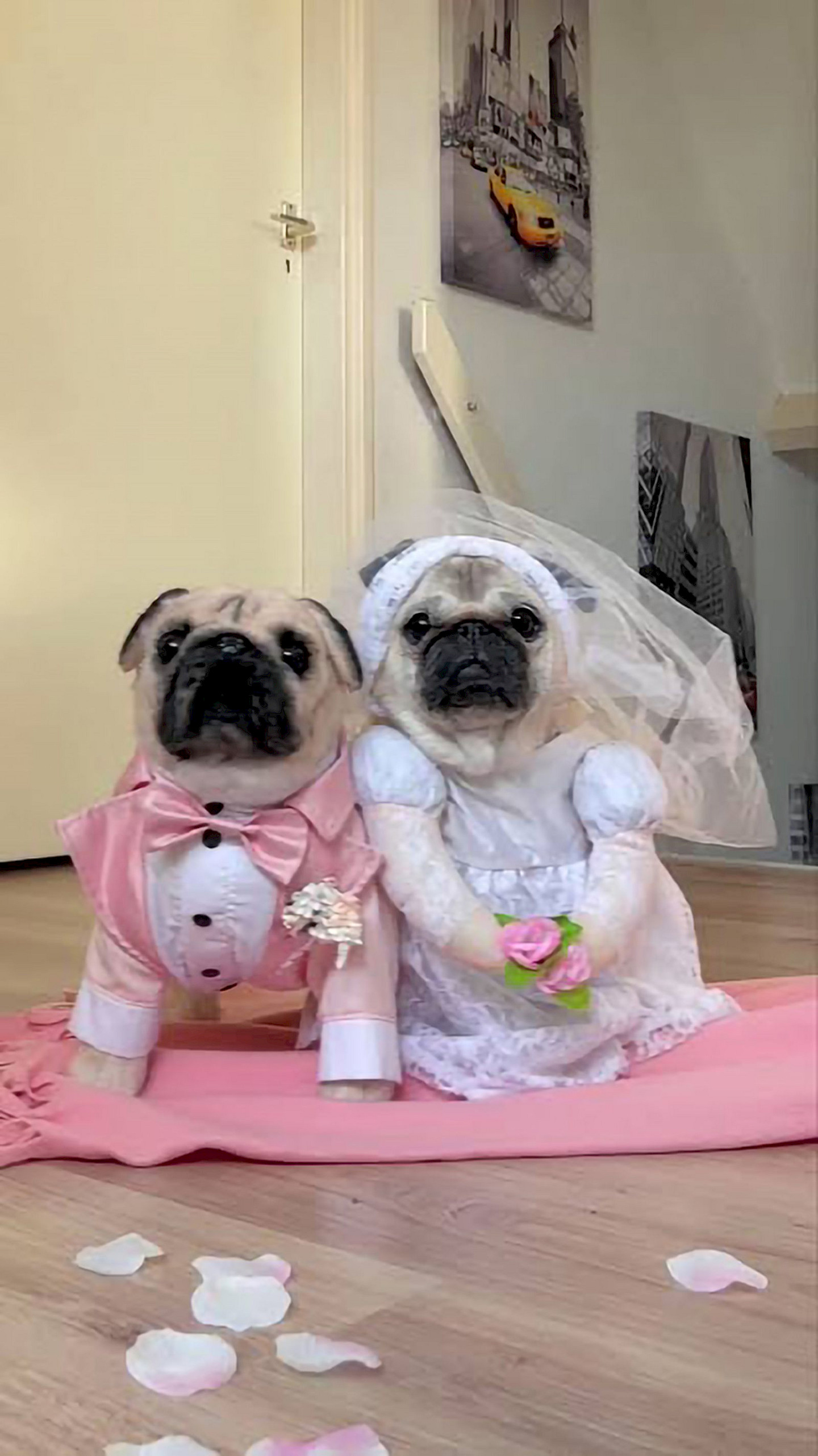 Marriage Party