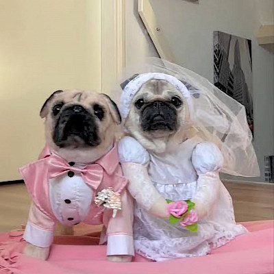 Marriage Party