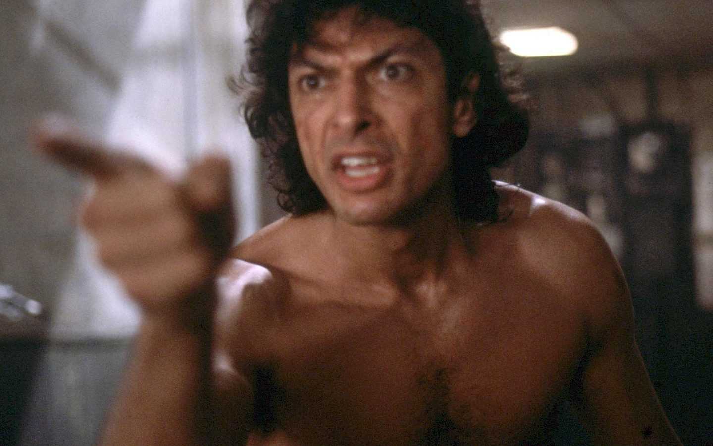 The Fly