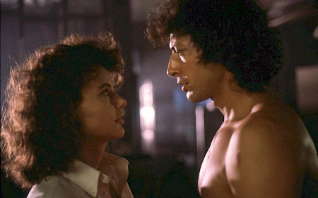 The Fly