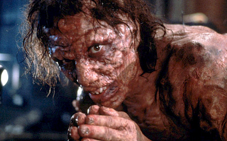 The Fly